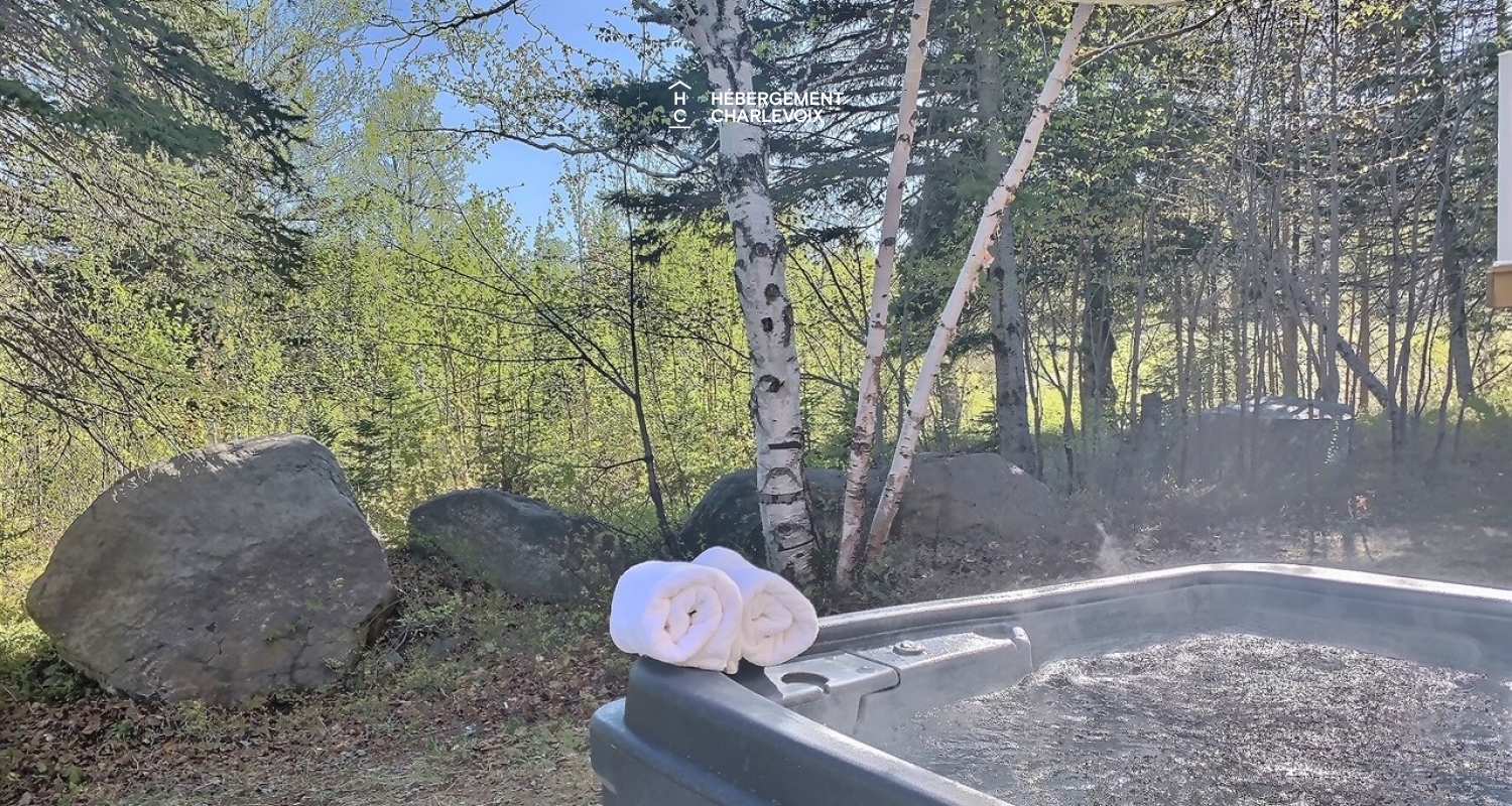 BOI-2 - Large chalet with billiards, spa and nature